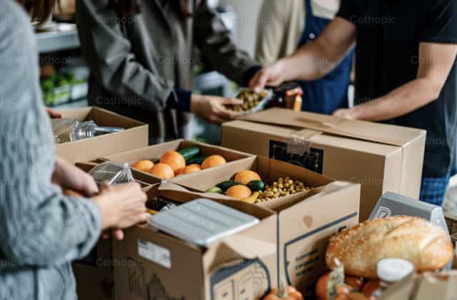 Campagna di raccolta fondi per il cibo - Immagini stock cattoliche - Foto di Carolina BR