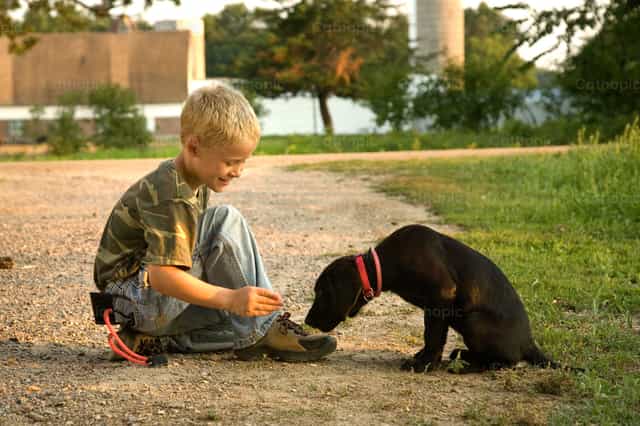 Jouer avec le chiot - Images catholiques de stock