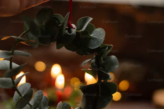 Corona de Navidad - Banco de imágenes católicas - Fotografía por Carolina BR