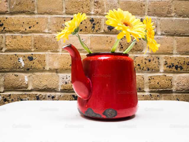 Té de flor - Banco de imágenes católicas