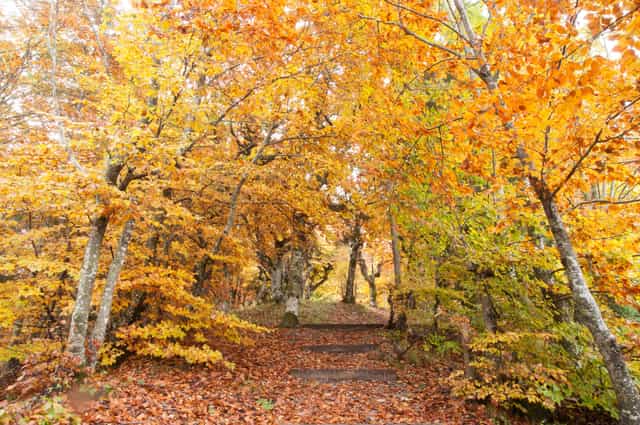 La beauté de la nature en automne - Images catholiques de stock