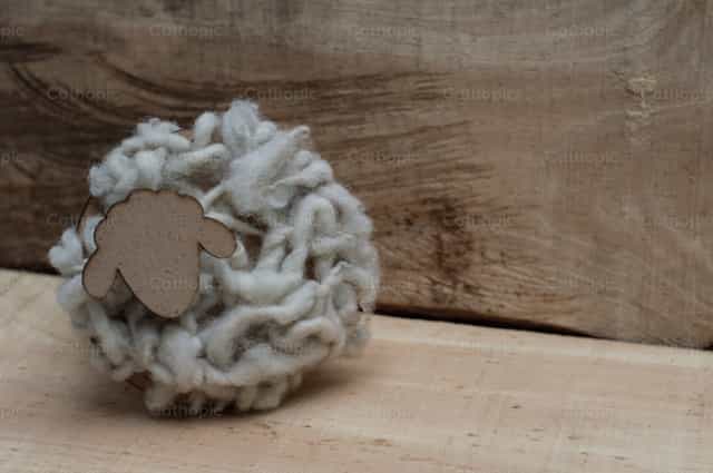 Schaap met wol - Katholieke stockfoto's - Foto door Carolina BR