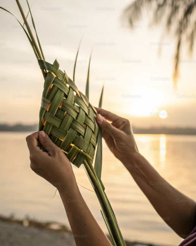 Liście palmowe - Katolickie zdjęcia stockowe - Zdjęcie: God Designer