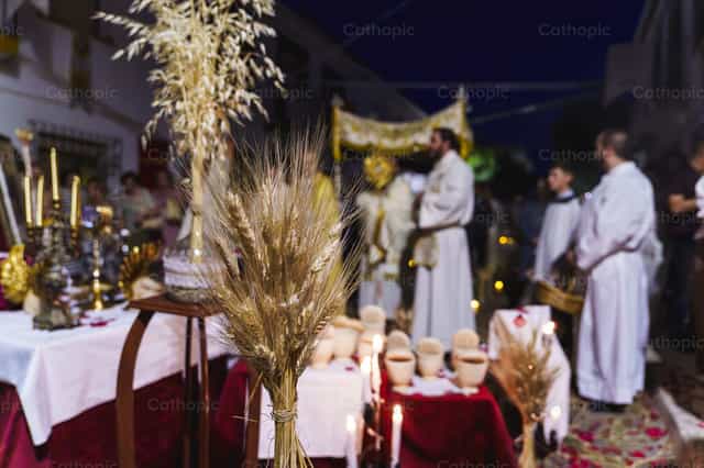 Vigilia de Espigas: El Fruto de la Tierra - Banco de imágenes católicas - Fotografía por Diócesis de Córdoba