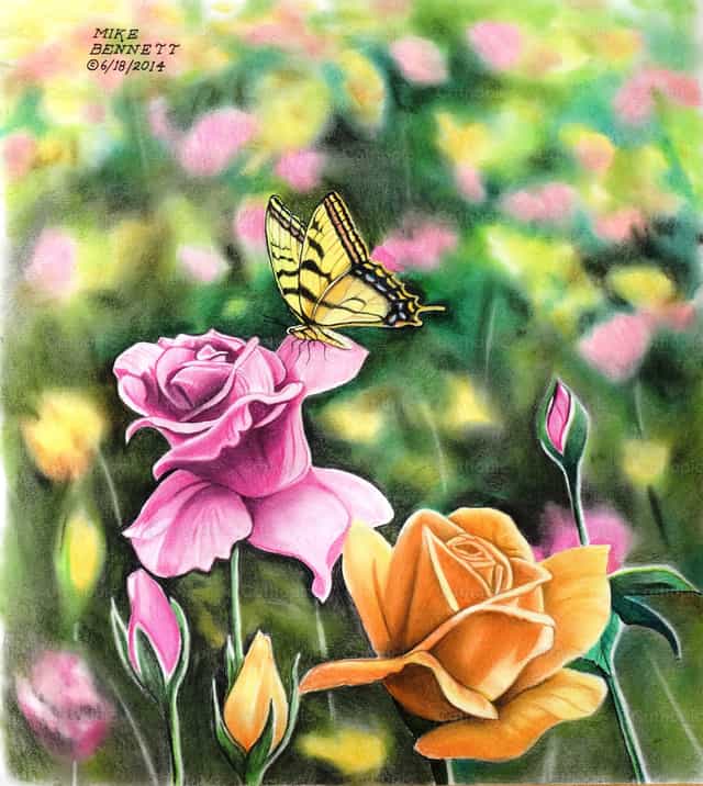 Tiger Swallowtail sa Hardin ng mga Rosas - Mga Catholic stock image - Larawan ni Mike Bennett