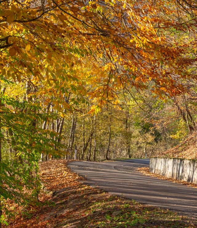 Road with wooden fence - Catholic stock images - Photo by Pierluigi Palazzi