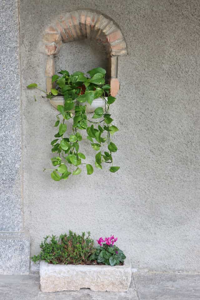 Flores y espacios - Banco de imágenes católicas - Fotografía por Frames Cristianos
