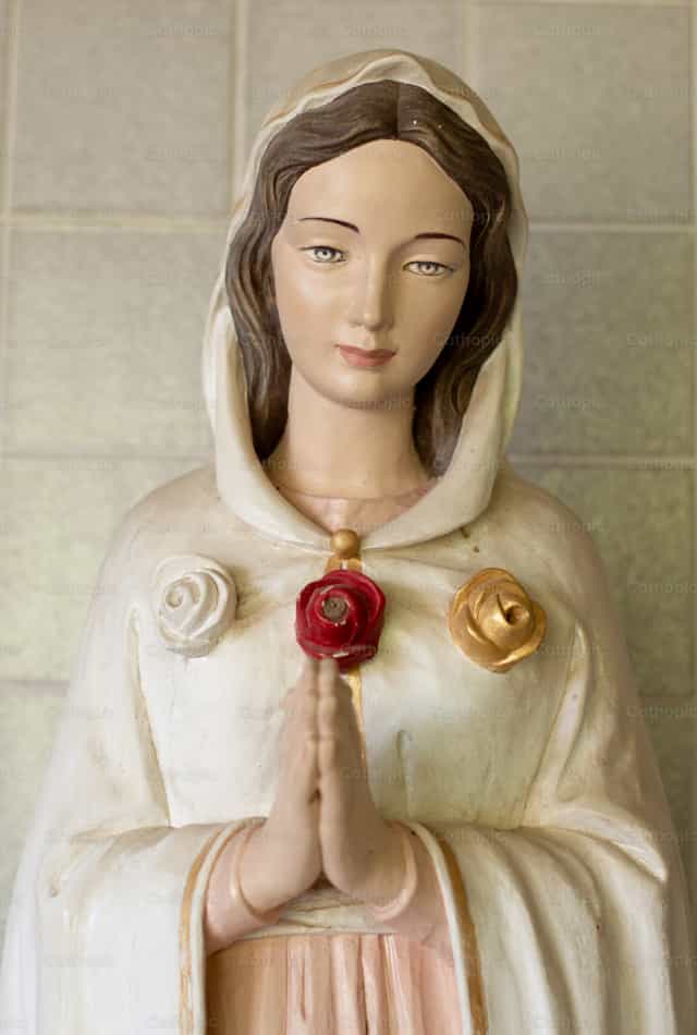 Rosa Mistica - Banco de imágenes católicas - Fotografía por Carolina BR