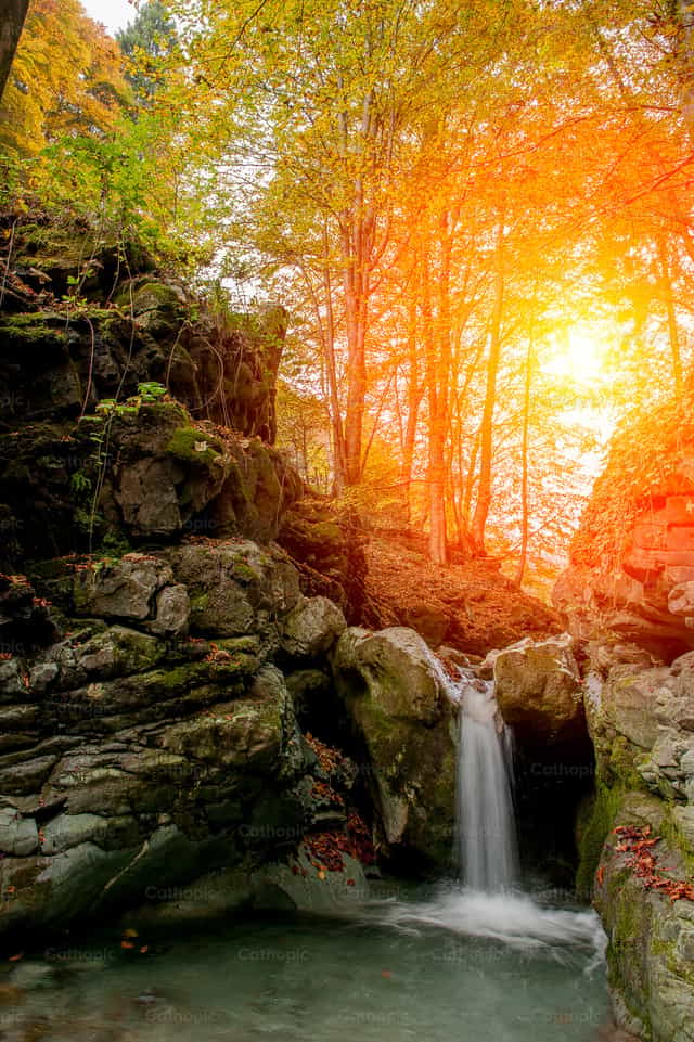 Cascada de agua de río en el bosque en otoño - Banco de imágenes católicas - Fotografía por Pierluigi Palazzi