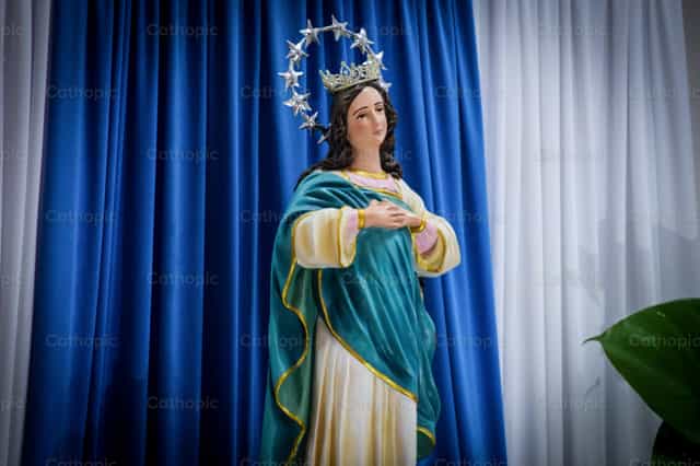 Concepción de Maria - Banco de imágenes católicas - Fotografía por Nayarb Photography