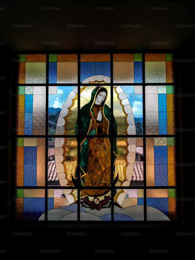 Virgen Maria - Banco de imágenes católicas