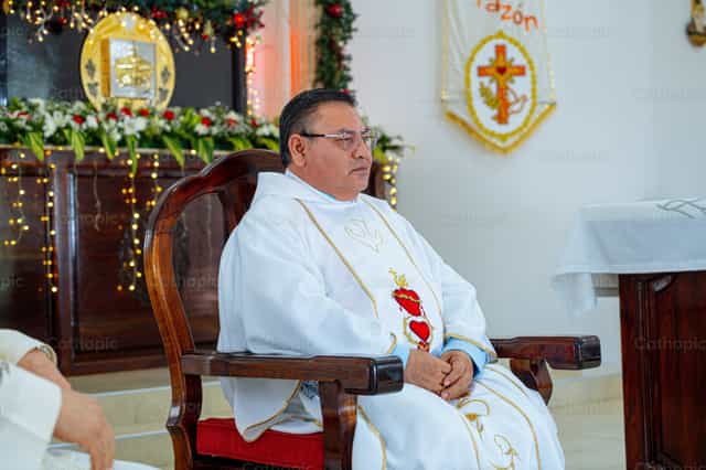 Sacerdote che celebra la Messa - Immagini stock cattoliche - Foto di Hein Palma