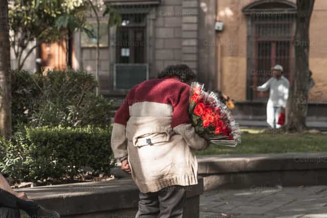 Sin techo con rosas, 2 - Banco de imágenes católicas