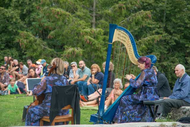 Un’arpista suona un’arpa blu durante un concerto all’aperto - Immagini stock cattoliche - Foto di Pierluigi Palazzi