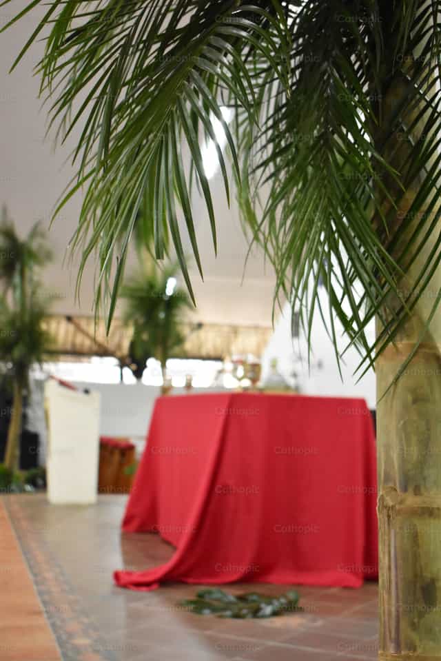 Dimanche des Rameaux - Images catholiques de stock