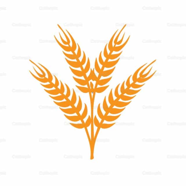 Spikes - Katholieke stockvectoren