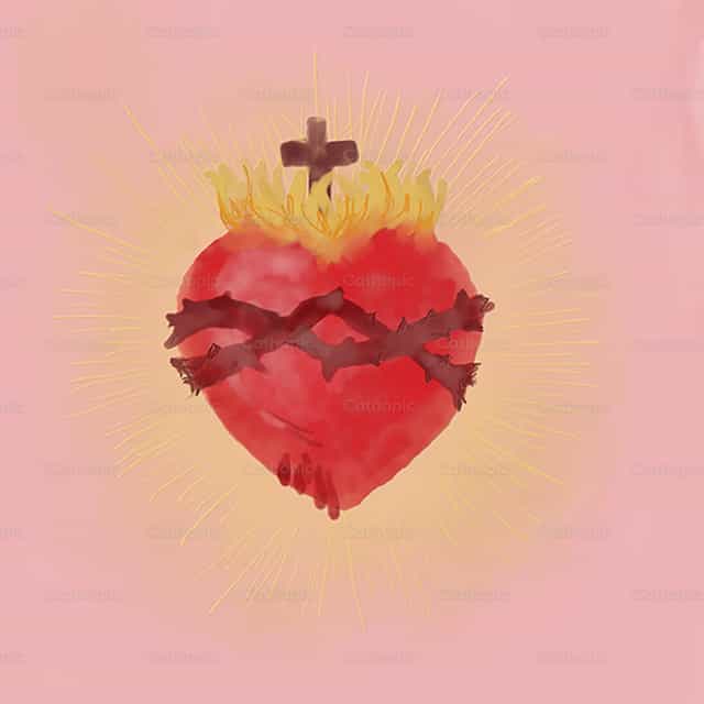 Corazón sagrado - Banco de vectores católicos - Fotografía por Elsa Vasquez