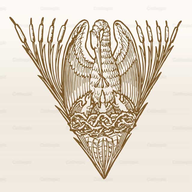 Pelican - Catholic stock vectors - Photo by Javier Bastidas