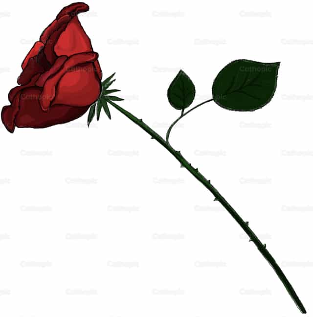 Rosa simple - perfil lateral - Banco de vectores católicos