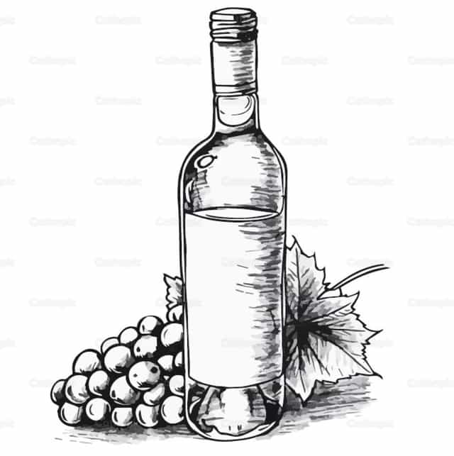 Uvas y vino - Banco de vectores católicos - Fotografía por Carolina BR