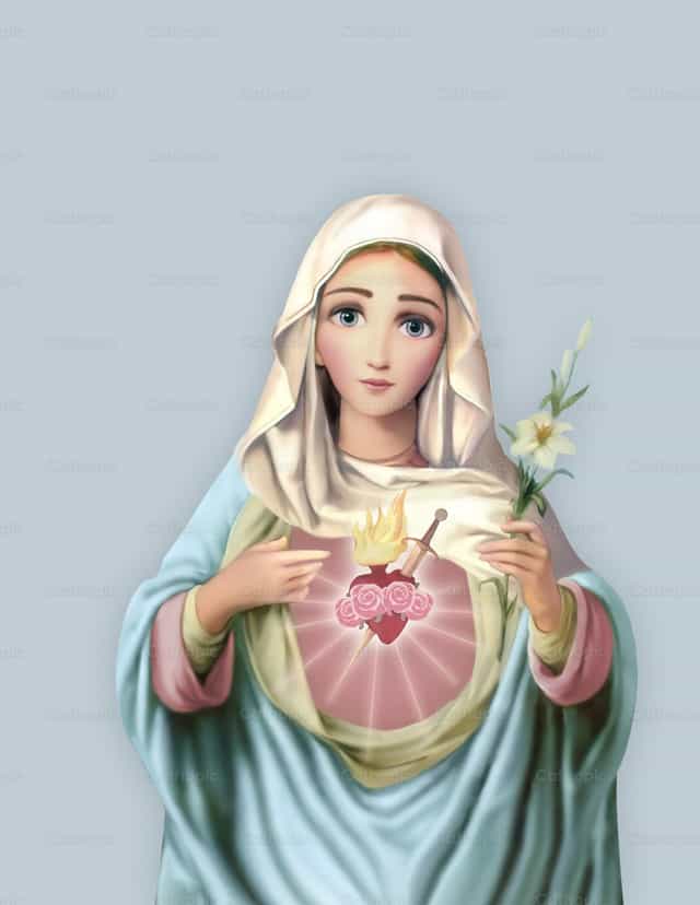 Corazón de nuestra Señora - Banco de vectores católicos - Fotografía por Cielísimo .oficial