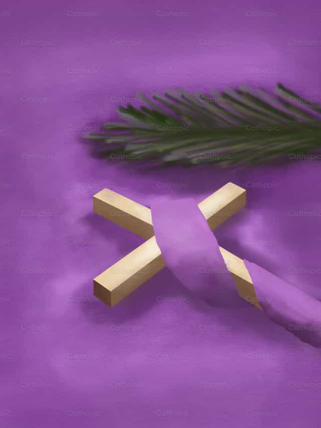 Domenica delle Palme - Vettoriali stock cattolici