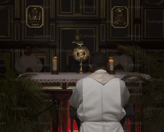 Exposition of the Blessed Sacrament | Cathopic