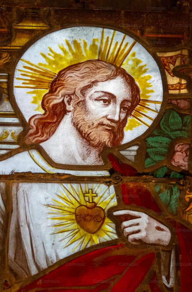Sacred Heart of Jesus Christ | Cathopic