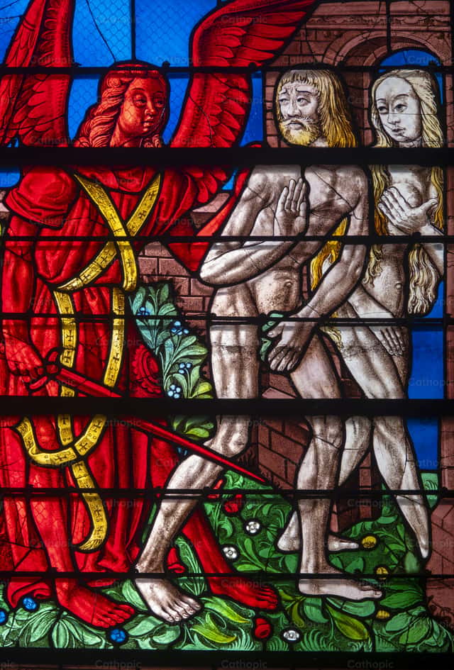Adam and Eve expelled from paradise - Catholic Stock Images