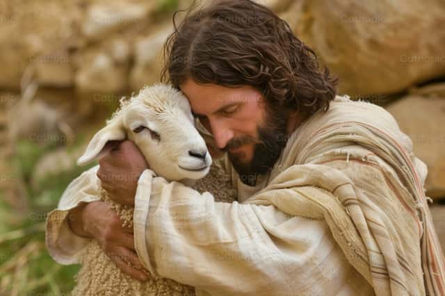 Jesus with the lost sheep | Cathopic