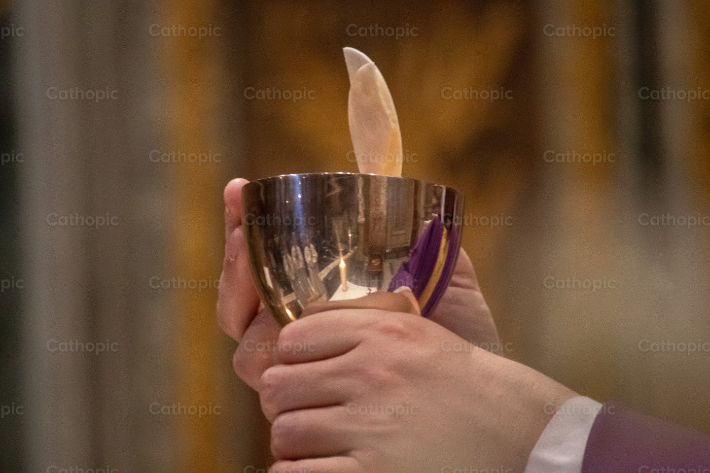 Fotografía de tomad y comed — Cathopic