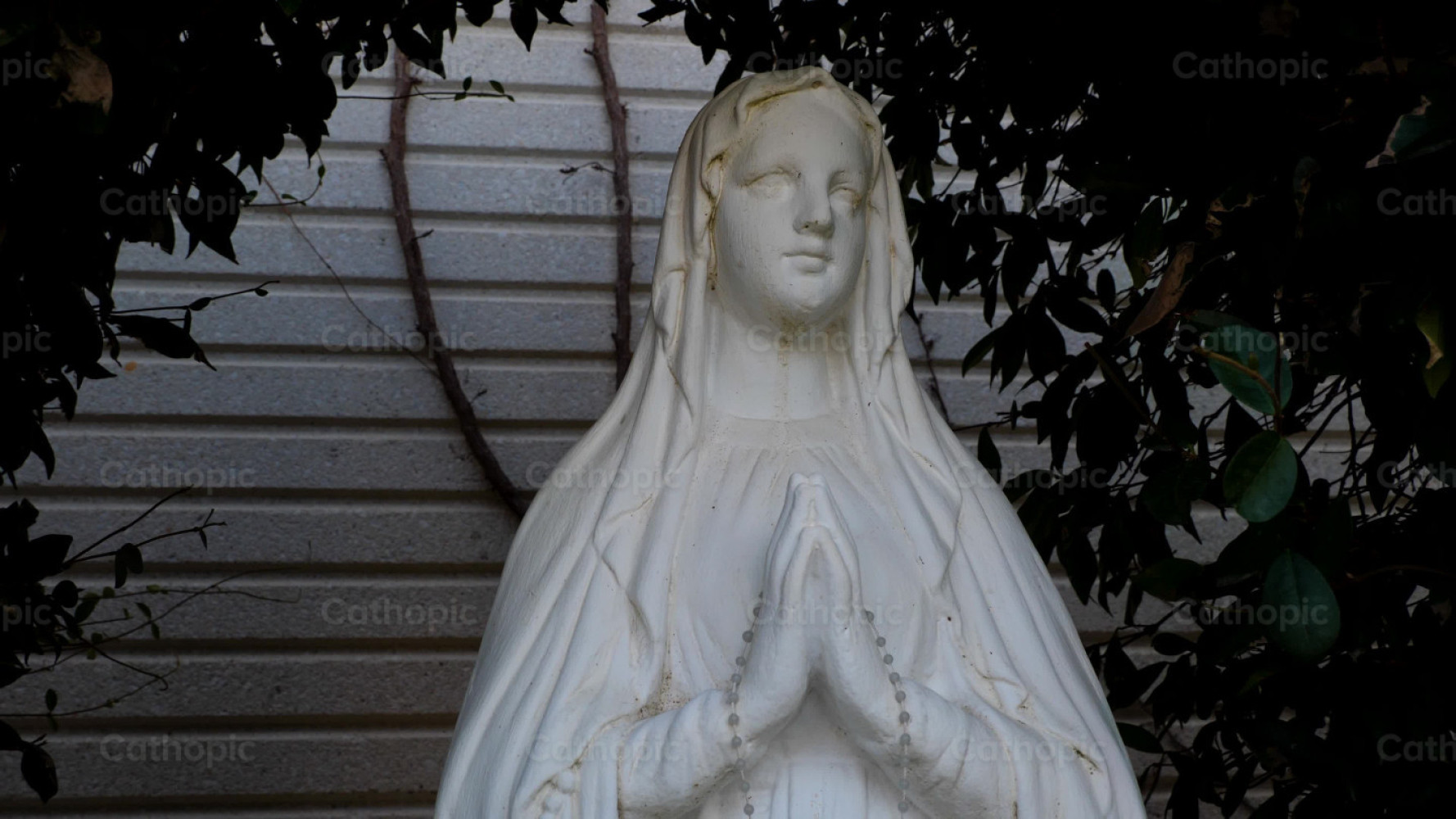 Five Ways to Approach Jesus Through Mary  Arte católico, Vitrales, Virgen  maría