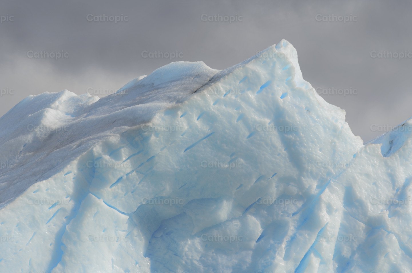 Coldness photo | Cathopic