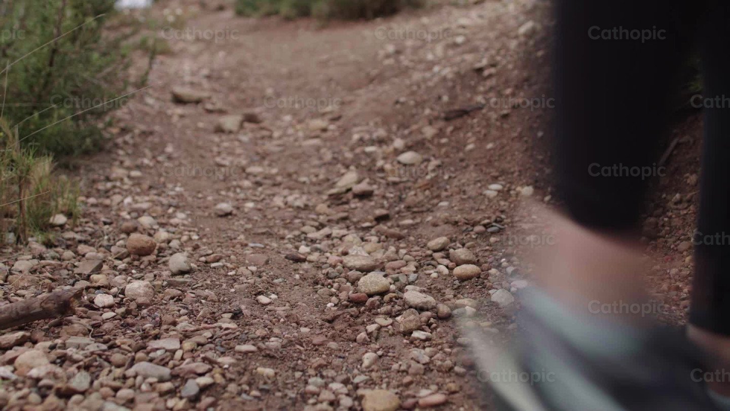 Going for a walk video | Cathopic