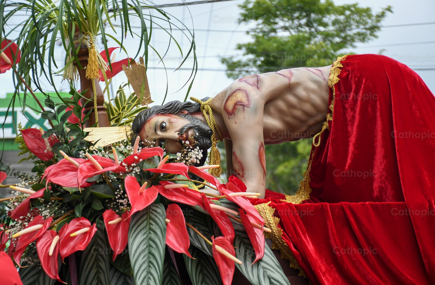 Fallen Christ Fallen Jesus photo | Cathopic